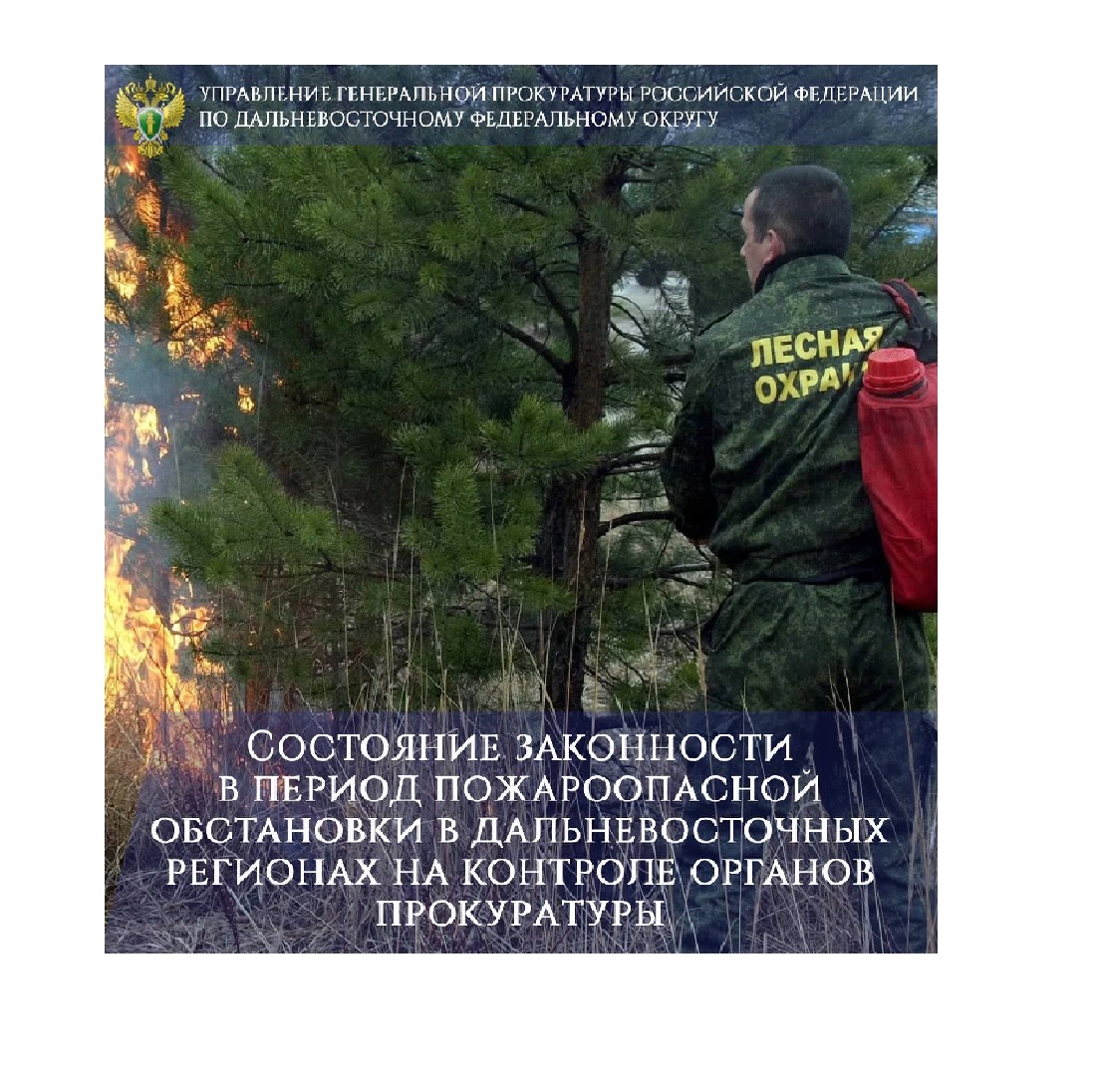 Состояние законности в период пожароопасной обстановки в дальневосточных регионах на контроле органов прокуратуры.