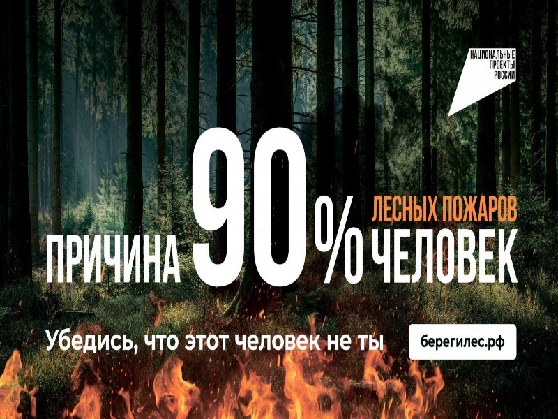 Нужно опередить огненную стихию. Соблюдение установленных правил пожарной безопасности поможет сохранить наш лес.