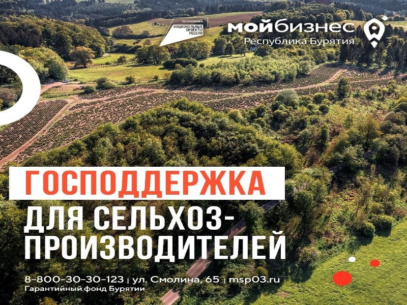 Поможем вернуть заброшенный участок в сельхозоборот с господдержкой!🌾.