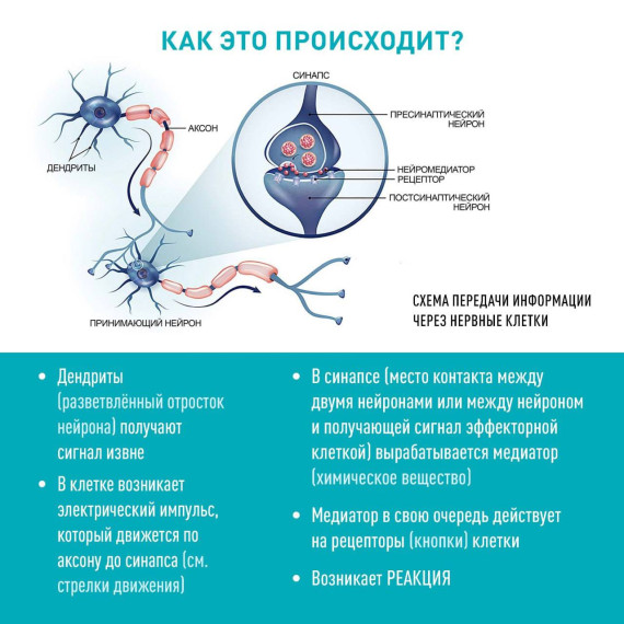 Наркотики – это смертельная ловушка, которая затягивает с каждым разом сильнее..